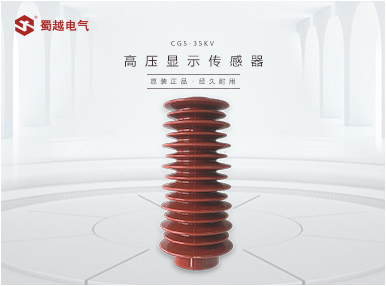 CG5-10Q高压带电传感器